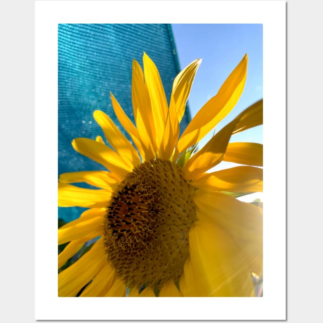 photo sunflower for ukraine Wall Art by mystudiocreate